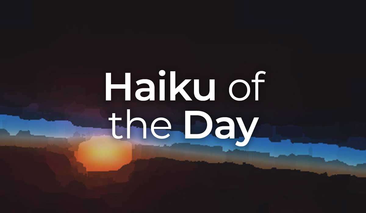 Haiku of the Day