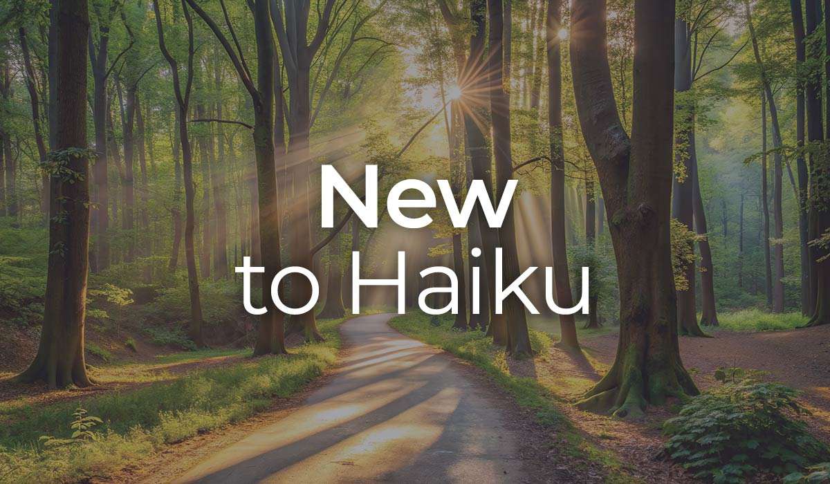 New to Haiku